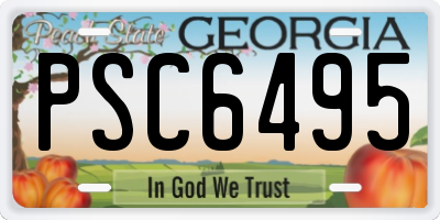 GA license plate PSC6495