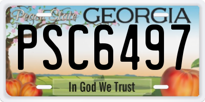 GA license plate PSC6497