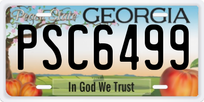 GA license plate PSC6499