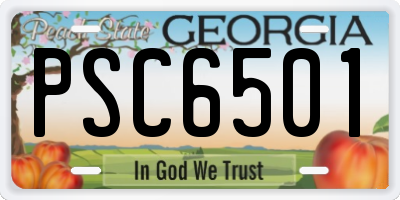 GA license plate PSC6501