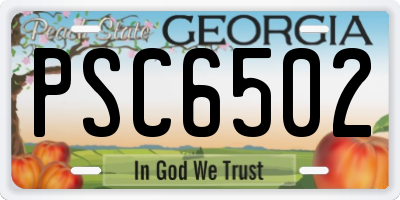 GA license plate PSC6502