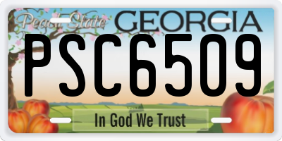 GA license plate PSC6509