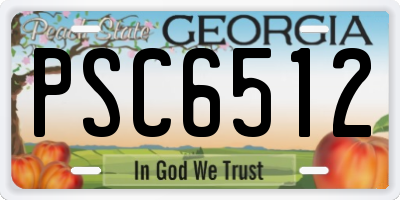 GA license plate PSC6512