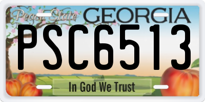 GA license plate PSC6513