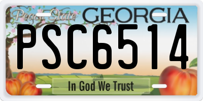 GA license plate PSC6514