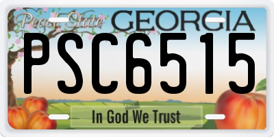 GA license plate PSC6515