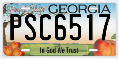 GA license plate PSC6517