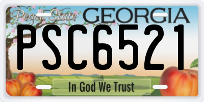 GA license plate PSC6521
