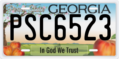 GA license plate PSC6523