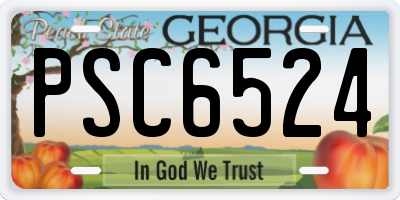 GA license plate PSC6524
