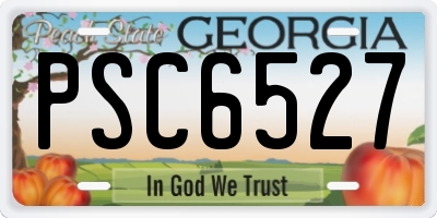 GA license plate PSC6527