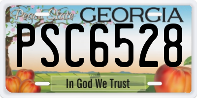 GA license plate PSC6528