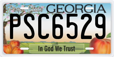 GA license plate PSC6529