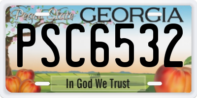 GA license plate PSC6532