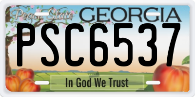 GA license plate PSC6537