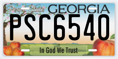 GA license plate PSC6540