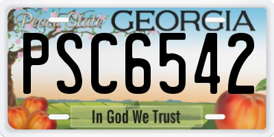GA license plate PSC6542