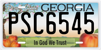 GA license plate PSC6545