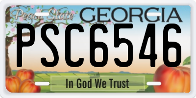 GA license plate PSC6546