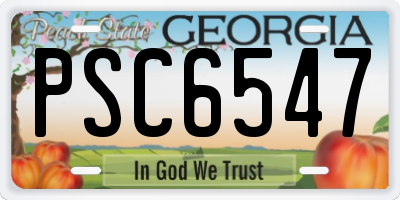 GA license plate PSC6547