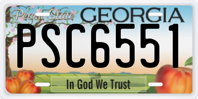 GA license plate PSC6551