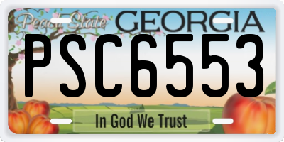 GA license plate PSC6553