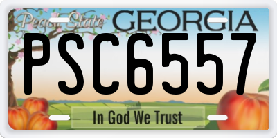 GA license plate PSC6557