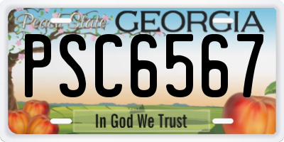 GA license plate PSC6567