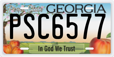 GA license plate PSC6577