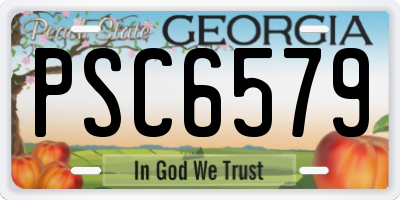 GA license plate PSC6579