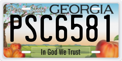 GA license plate PSC6581