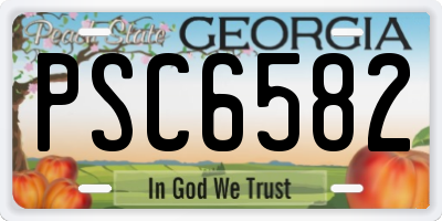 GA license plate PSC6582