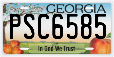 GA license plate PSC6585