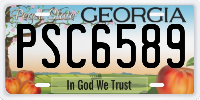 GA license plate PSC6589