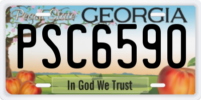GA license plate PSC6590