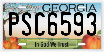 GA license plate PSC6593
