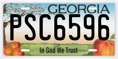 GA license plate PSC6596