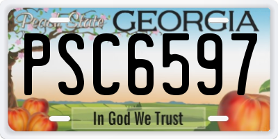 GA license plate PSC6597