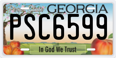 GA license plate PSC6599