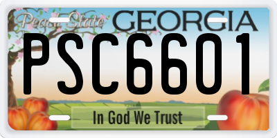 GA license plate PSC6601