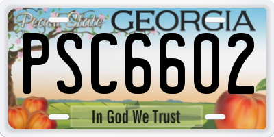 GA license plate PSC6602