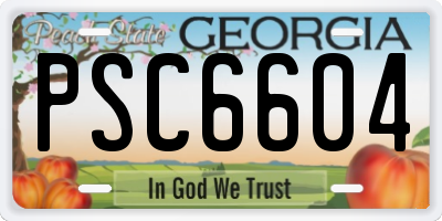 GA license plate PSC6604