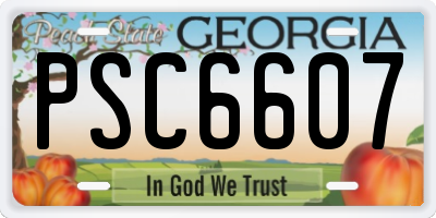 GA license plate PSC6607