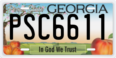 GA license plate PSC6611