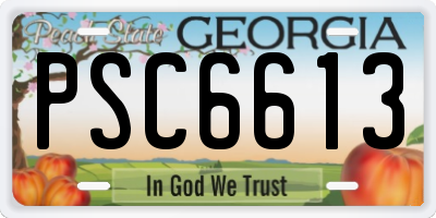 GA license plate PSC6613