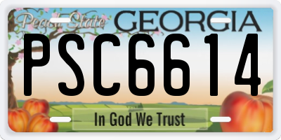 GA license plate PSC6614