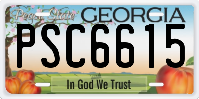 GA license plate PSC6615