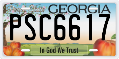 GA license plate PSC6617