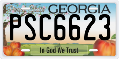 GA license plate PSC6623
