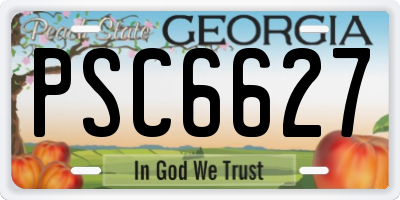 GA license plate PSC6627